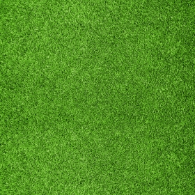绿色草地高清图片