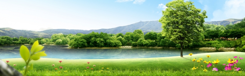 春天绿色风景