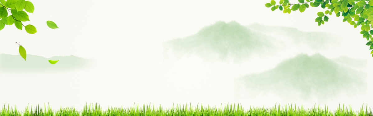 绿色草地背景