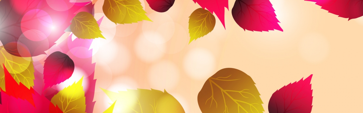 秋天树叶背景图