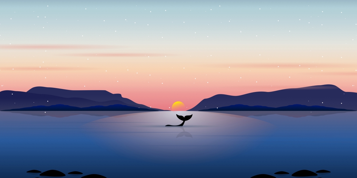 4K手绘夜景风景矢量插画