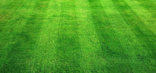 绿色草地足球场
