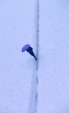 雪地