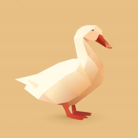 鸭子