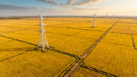 快图网原创稻田航拍摄影图