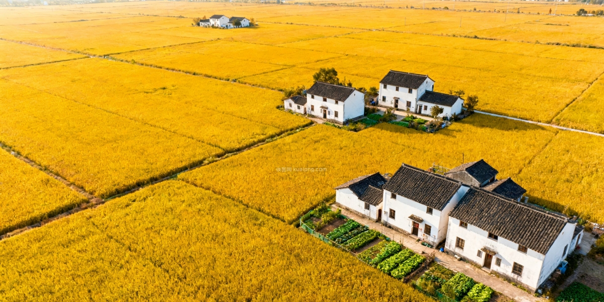 快图网原创稻田航拍摄影图