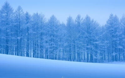 雪景