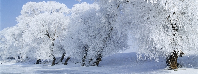 冰天雪地