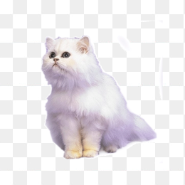 卡通动物免扣png素材