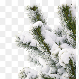冬天雪景元素