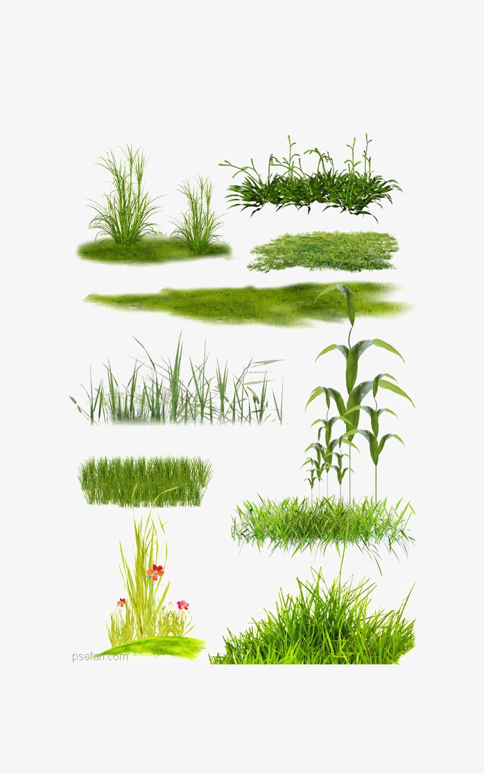 绿色草坪元素集合