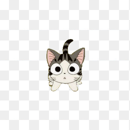 可爱小猫咪