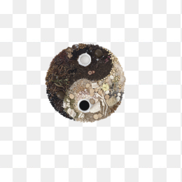 太极中药材，免扣 ，png，中医药
