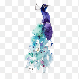 小鸟
