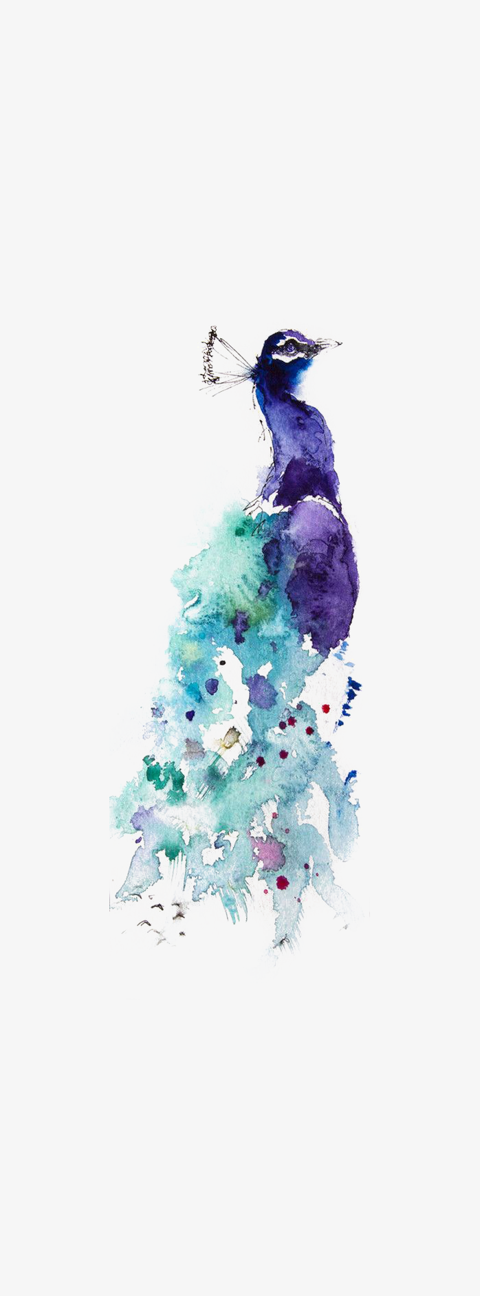 小鸟