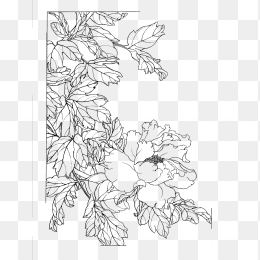 花花
