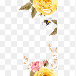 蜜蜂