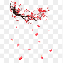 古风红色梅花和漂落的花瓣