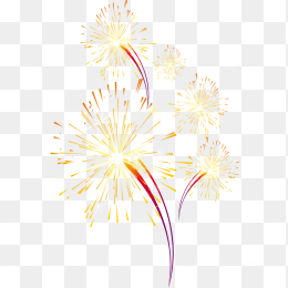 节日烟花