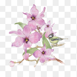 水彩手绘花朵鸟