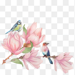 手绘水彩花鸟