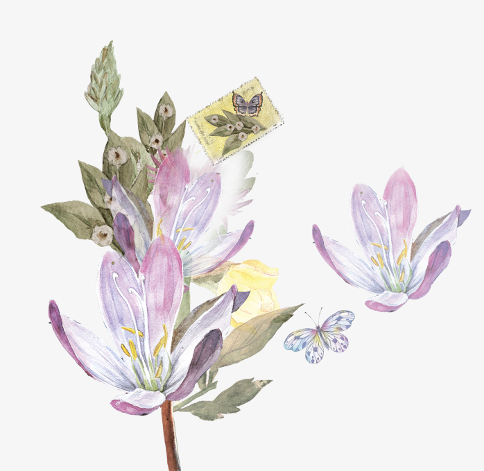 手绘水彩花朵唯美