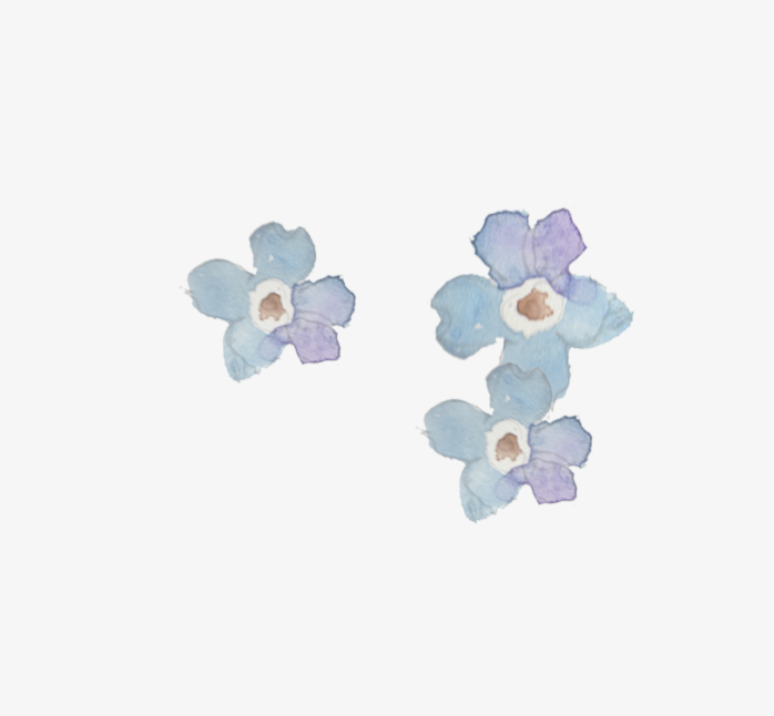 手绘水彩花纹唯美