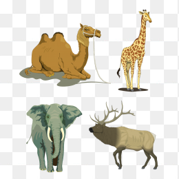 四种动物 骆驼 长颈鹿 大象 驼鹿