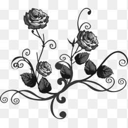 欧式花纹 玫瑰