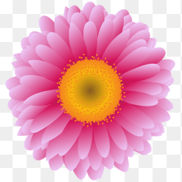 手绘花朵