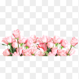 清新唯美粉色玫瑰花丛png透明无水印高清免抠矢量图片素材