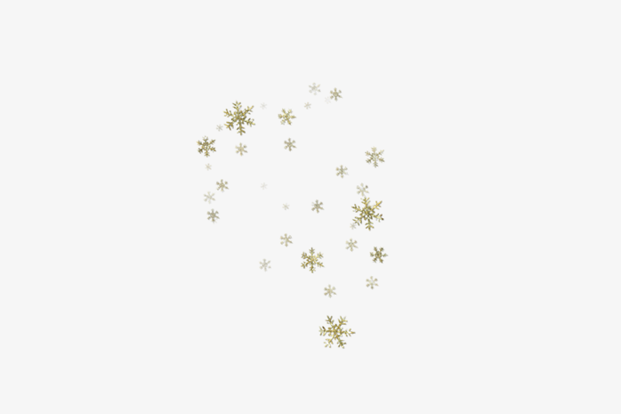 金粉雪花