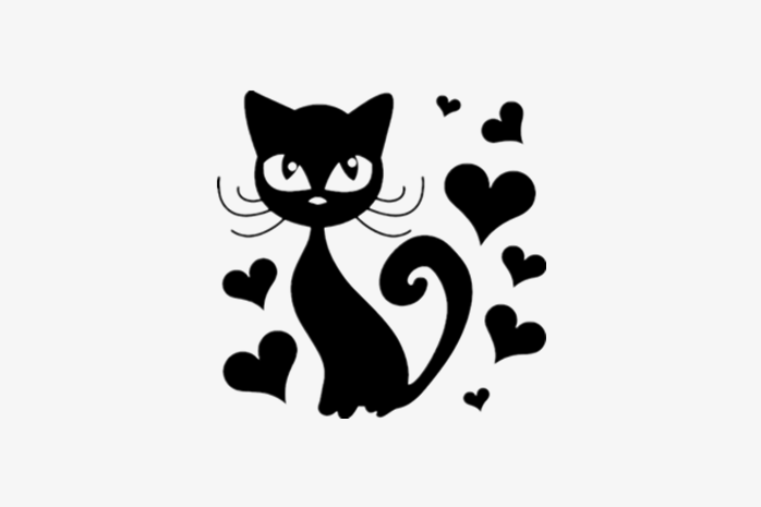 猫咪