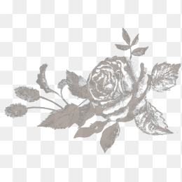 手绘花朵