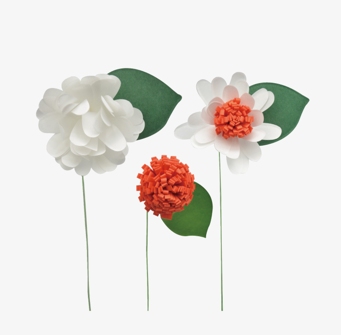 手绘花卉