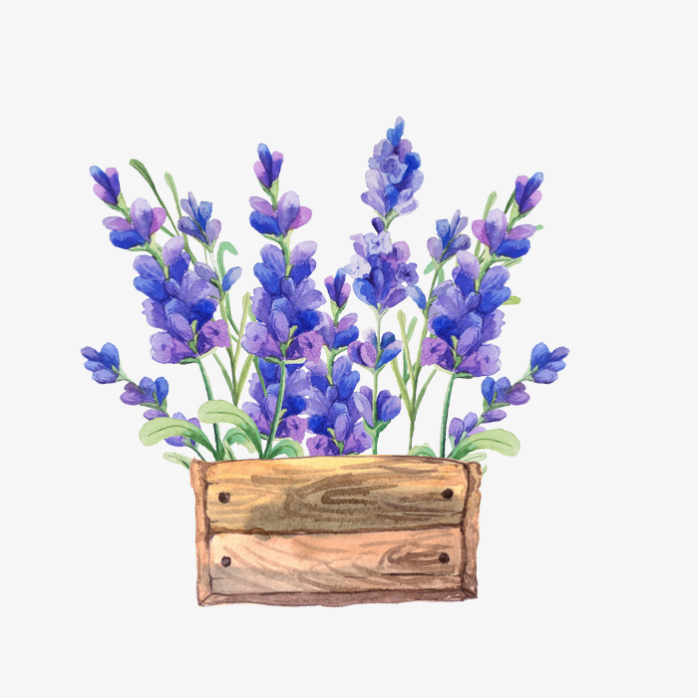 手绘蓝色花框