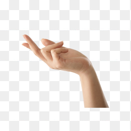 手