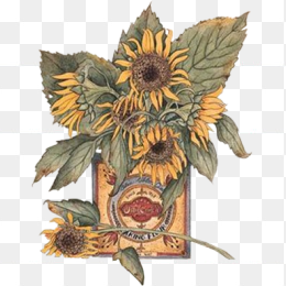 鲜花免扣素材