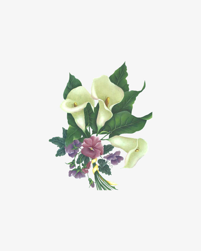 鲜花免扣素材