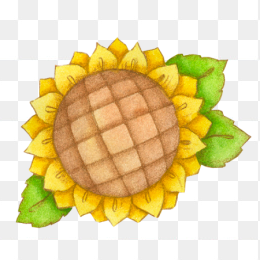 鲜花免扣素材