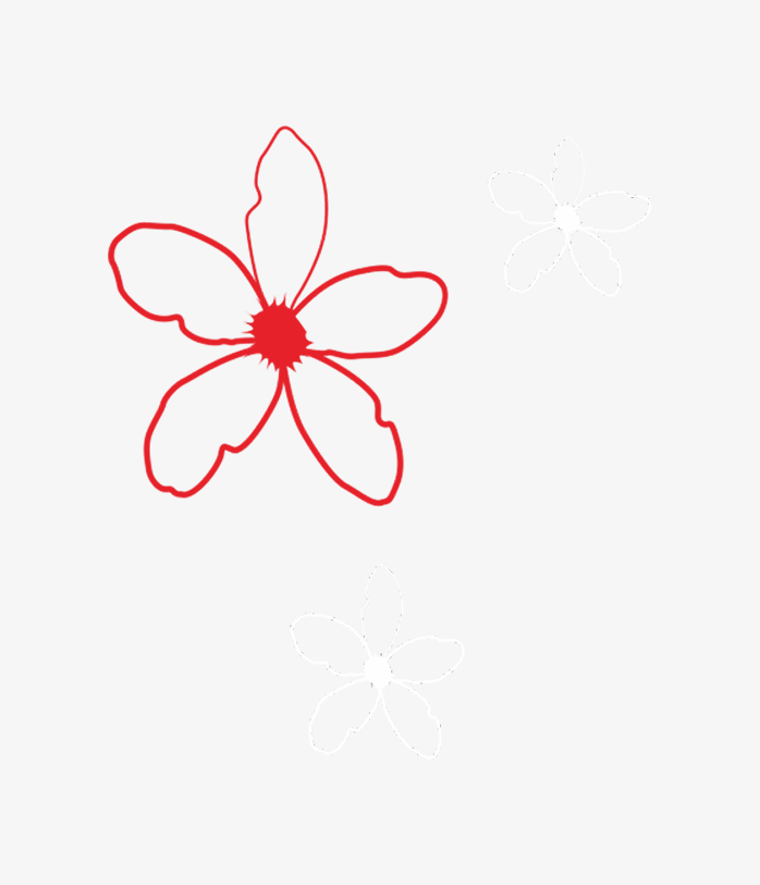 手绘花瓣