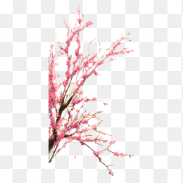 粉树