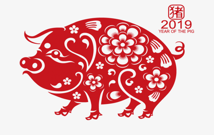 2019猪年