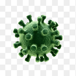 细菌病毒