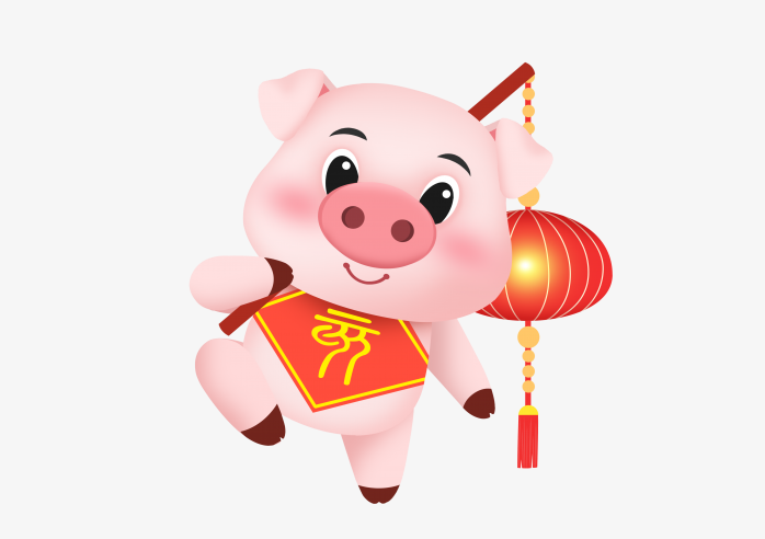 2019小猪