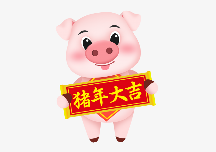 2019小猪