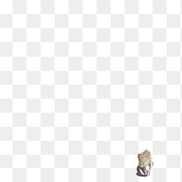 猫猫