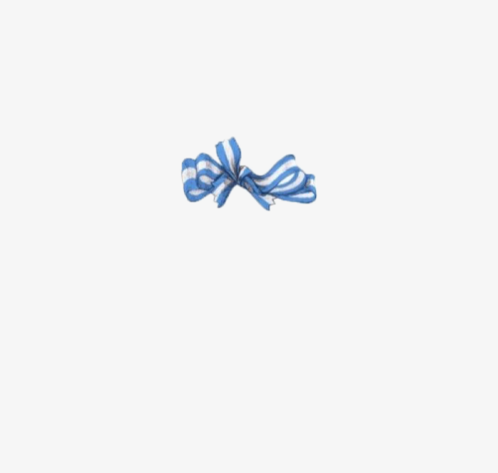 蝴蝶结