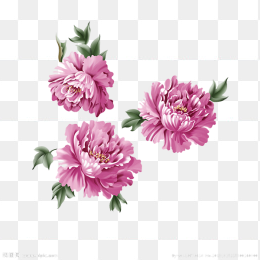 花框花边底纹花边框
