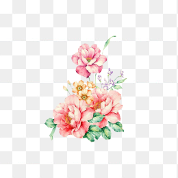 手绘花卉植物
